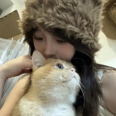 妖精森林的小不点